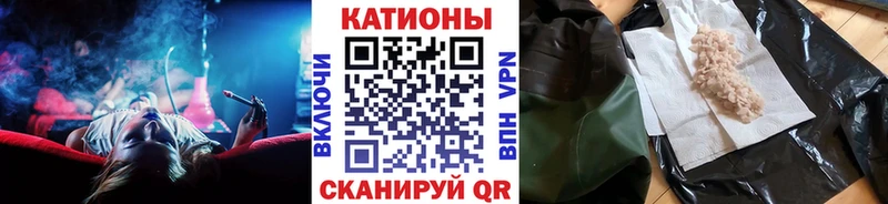 закладка Владикавказ МЯУ-МЯУ мяу мяу